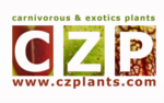 www.czplants.com